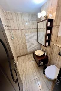 ein Badezimmer mit einem WC, einem Waschbecken und einem Spiegel in der Unterkunft MNM Mitropolie II in Iaşi