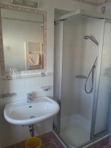 La salle de bains est pourvue d'un lavabo et d'une douche. dans l'établissement Pension Panorama, à Monguelfo-Tesid