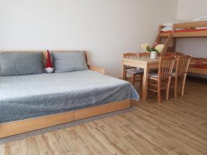 卡什佩爾斯凱霍里的住宿－Barbora，一间卧室配有一张床、一张桌子和一张双层床。