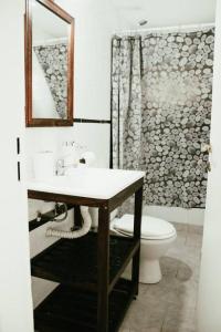 Casa Tipo Loft- Tigre Centro في تيغري: حمام مع حوض ومرحاض ومرآة