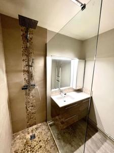 y baño con lavabo y ducha. en Superbe appartement avec parking, en La Rochelle