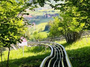 a curved train track on a hill with trees at Skigyimes Guesthouse in Lunca de Sus