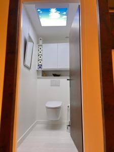 a small bathroom with a toilet and a skylight at Chambre cozy spacieuse, intra-muros, clim, parking in Aigues-Mortes
