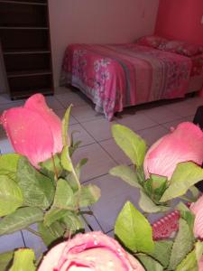 a room with a bed and a plant with pink roses at Moradas Renascer 2 in Praia do Rosa