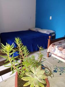 Habitación con cama y jarrón con plantas en Moradas Renascer 2, en Praia do Rosa