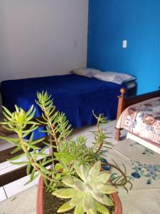 a room with a bed and a vase with plants at Moradas Renascer 2 in Praia do Rosa