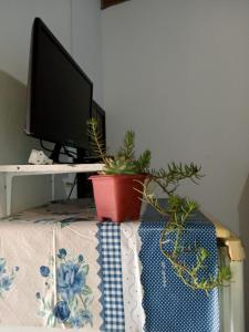 a desk with a computer monitor and a desk with potted plants at Moradas Renascer 2 in Praia do Rosa