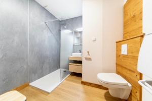 a bathroom with a shower and a toilet at Au Petit Lion, Colmar centre Garage gratuit in Colmar
