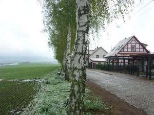 uma árvore ao lado de um edifício ao lado de um campo em Erpelhaus em Utzberg