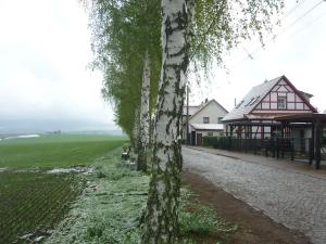 a tree next to a building next to a field at Erpelhaus, ländliche Idylle mit Stadtnähe zu EF und WE in Utzberg