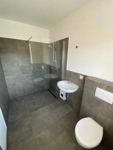 een badkamer met een toilet, een wastafel en een douche bij Zimmer mit Bad und Küche 