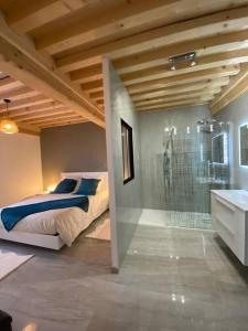 1 dormitorio con cama, ducha y lavamanos en La Ferme du Maillot, en Champeau