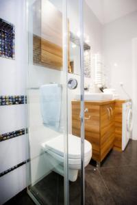 a bathroom with a toilet and a glass shower at Bochenka Apartments in Kraków