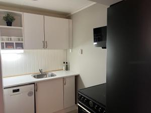 Kuchyň nebo kuchyňský kout v ubytování Apartment in Tromsø Mainstreet