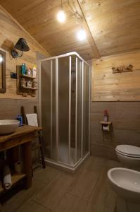 ein Bad mit einer Dusche und einem WC in der Unterkunft Borgo Don Camillo in Cutigliano