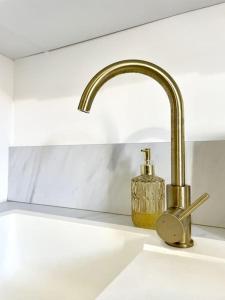 a kitchen sink with a brass faucet and a soap dispenser at Le Nacre 18 - Bourg-de-Péage in Bourg-de-Péage