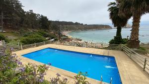 a large blue swimming pool next to a beach at Condominio Pinares del Canelillo in Algarrobo