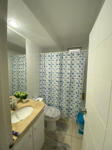 La salle de bains est pourvue d'un lavabo, de toilettes et d'une douche. dans l'établissement Condominio Pinares del Canelillo, à Algarrobo