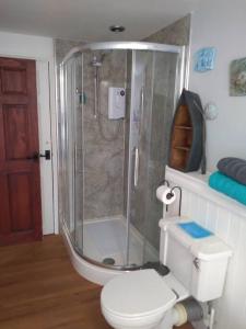 a bathroom with a shower and a white toilet at Super Spacious Country house pet/party friendly. in Newquay