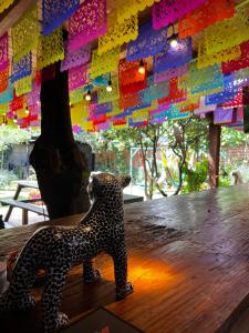 a leopard statue on a wooden table with a wall of paper at The Coffee Bean Hostel in San Cristóbal de Las Casas