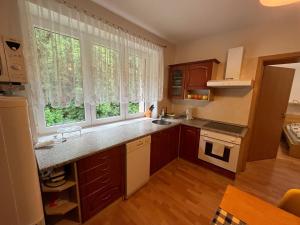 eine Küche mit einem Waschbecken und zwei Fenstern darin in der Unterkunft Apartmán KINALI Horní Lipová in Ober Lindewiese