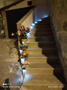 a set of stairs with vases and flowers on them at Casa Evita in Sanxenxo