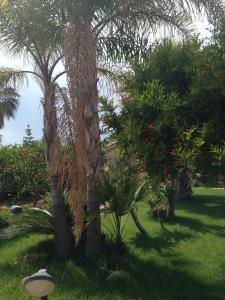 Κήπος έξω από το B&B Villa Luisa Apartment