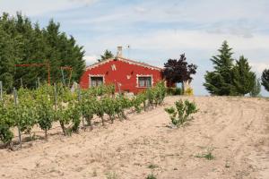 Zdjęcie z galerii obiektu Casa Bodegas Marcos w mieście Peñafiel