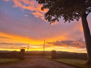 a sunset with a tree and a dirt road at The Apartment Benone in Castlerock