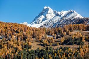 a mountain range with trees and snow at la casse deserte in Arvieux