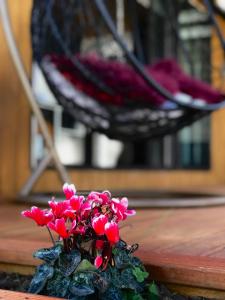a pot of red flowers on a table with a chair at Onehunga Garden Tinyhouse in Auckland