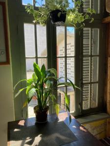 Gallery image of Hostel do Lucca in Porto Alegre