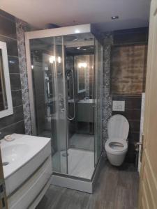 a bathroom with a shower and a toilet and a sink at Studio Indépendant dans Maison de Village in Alignan-du-Vent