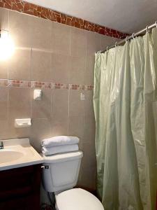 y baño con aseo, lavabo y ducha. en Cabaña la Toscana en Mazamitla