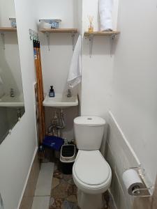 a small bathroom with a toilet and a sink at Osimiri apartamento Naturaleza y aventura in San Rafael