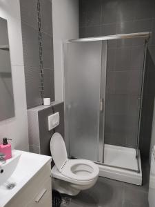 W łazience znajduje się prysznic, toaleta i umywalka. w obiekcie Downtown Skadarlija w Belgradzie