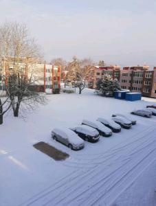 una fila di auto parcheggiate in un parcheggio coperto di neve di Baby friendly 1-bedroom rental w/ free parking a Sigulda