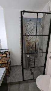 a shower with a glass door in a bathroom at Wald und Meer in Glücksburg