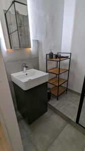 a bathroom with a sink and a mirror and a shelf at Wald und Meer in Glücksburg