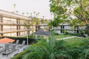 Zahrada ubytování Palm Garden Hotel