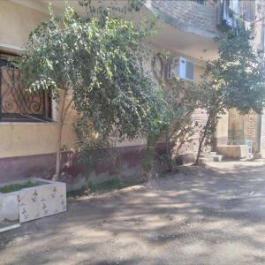 een gebouw met twee bomen aan de zijkant bij Ali habou Watersport in Luxor