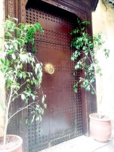 a bronze door with two potted plants in front of it at hostel Dar belghiti in Fès