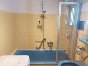 een badkamer met een douche en een blauw bad bij Nobel-Prize-Appartement in Graz