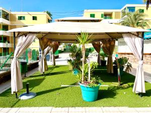 einen Pavillon mit Topfpflanzen auf einem Hof in der Unterkunft Las Olas Blue in Playa del Ingles