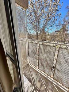 ventana con vistas a un árbol en el balcón en Alojamiento Coihueco en Malargüe