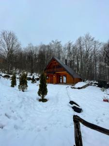 a snow covered yard with a log cabin at Cozy Cabin in the Woods in Brezovica