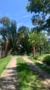uma estrada de terra com palmeiras e uma cerca em Casa Paz em Parrita