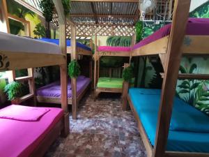 Palanda nebo palandy na pokoji v ubytování Oasis Beachfront Hostel