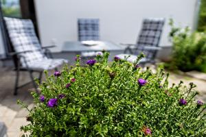 Zahrada ubytování Appartement 2 - Dünenblick