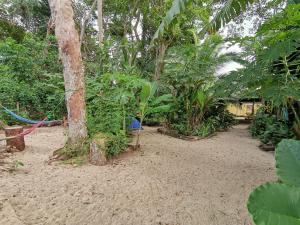 Zahrada ubytování Oasis Beachfront Hostel